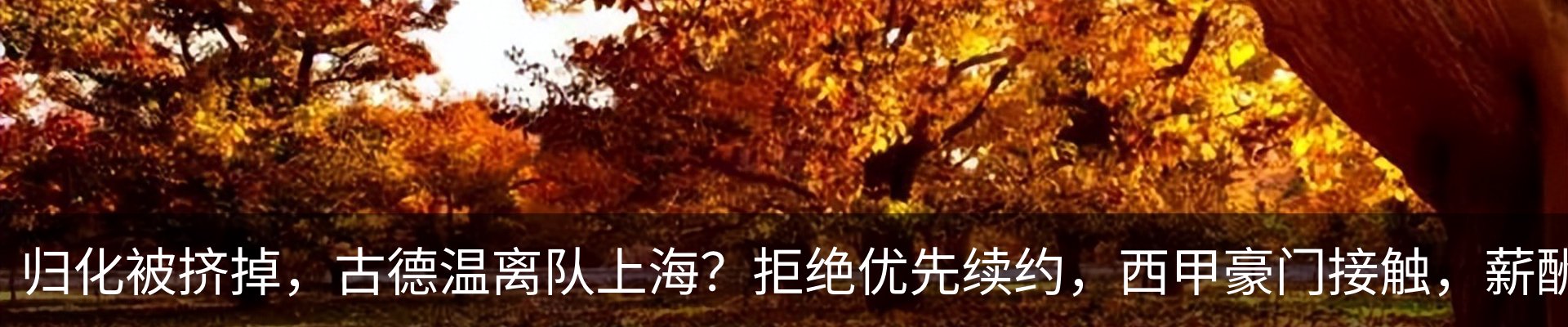 新闻中心
